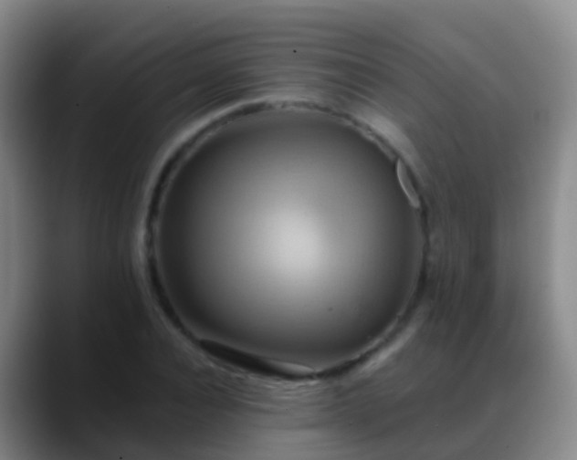 X0000088890928200706151827