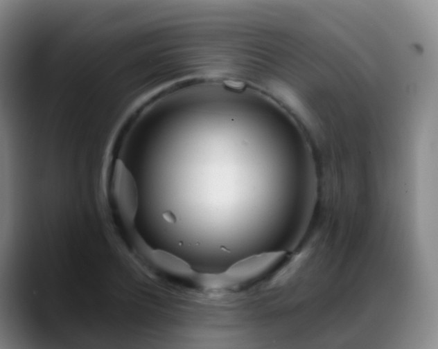 X0000088890932200706151827