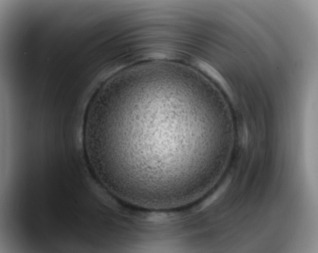 X0000088890938200706151827