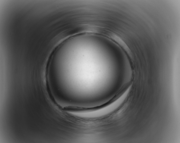 X0000088890939200706151827