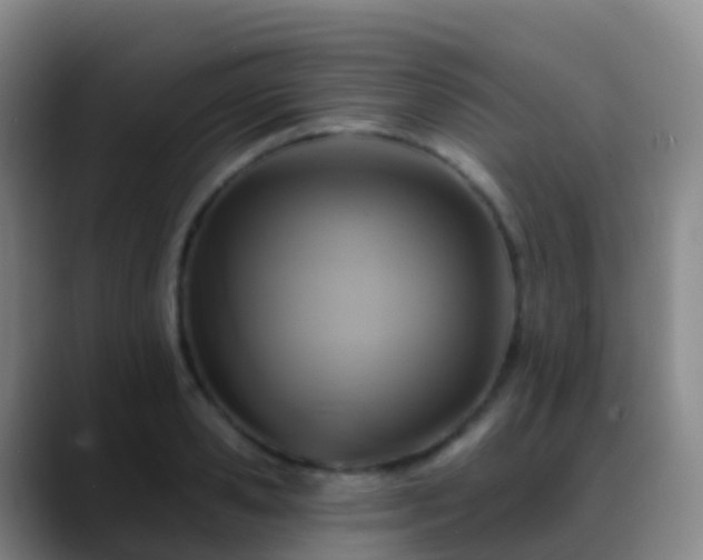 X0000088890941200706151827