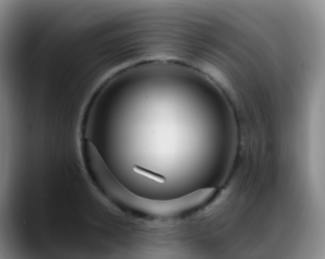 X0000088890942200706151827