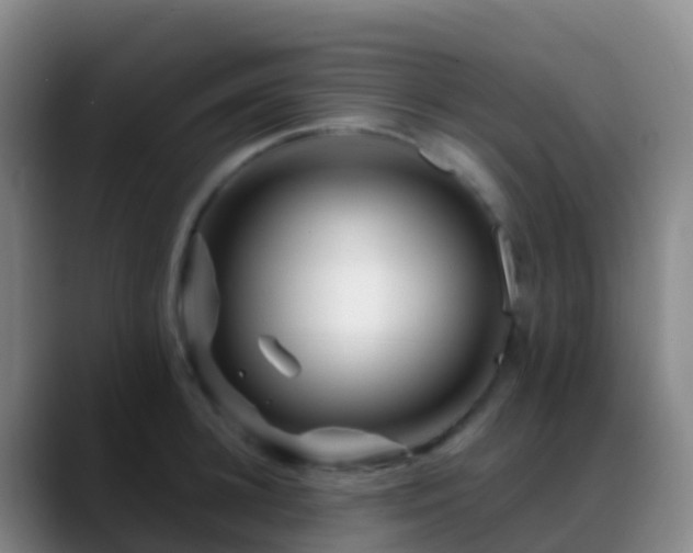 X0000088890948200706151827