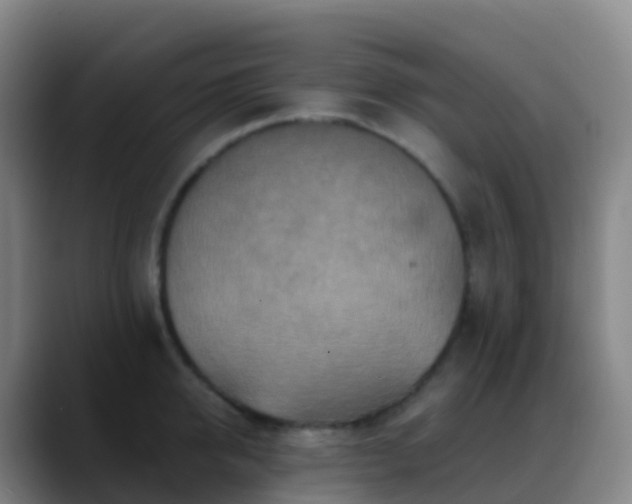 X0000088890950200706151827