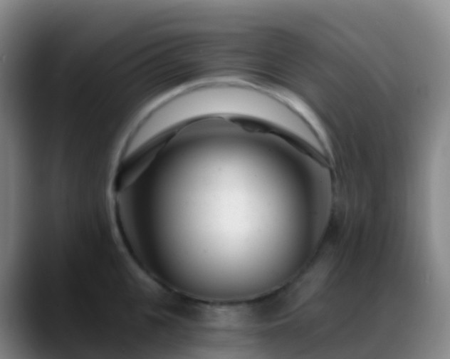 X0000088890951200706151827