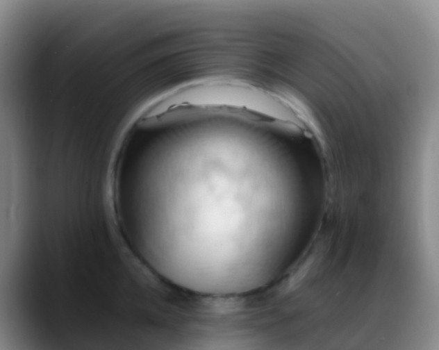 X0000088890952200706151827