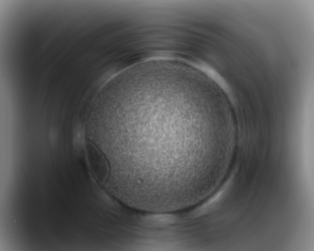 X0000088890953200706151827