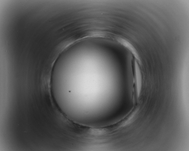 X0000088890954200706151827