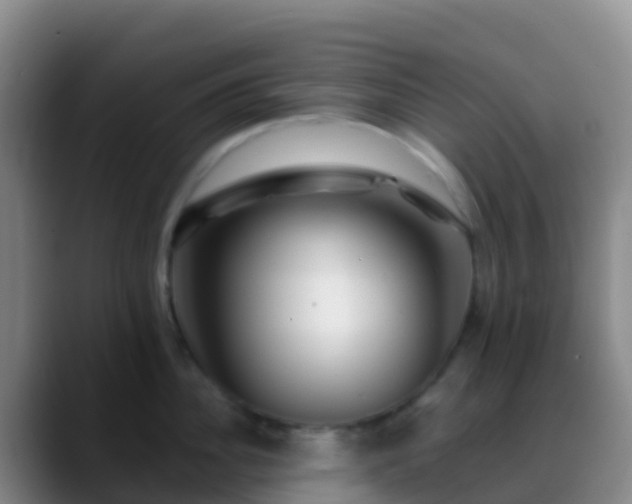 X0000088890956200706151827