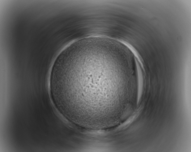 X0000088890957200706151827