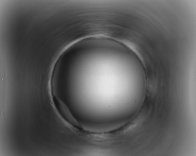 X0000088890959200706151827