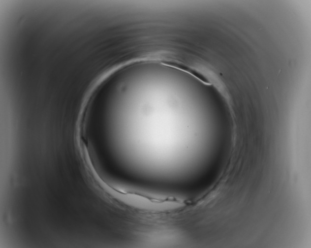 X0000088890960200706151827