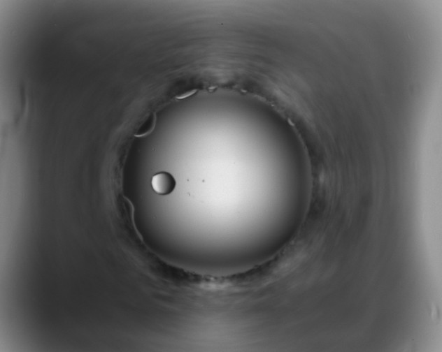 X0000088890961200706151827