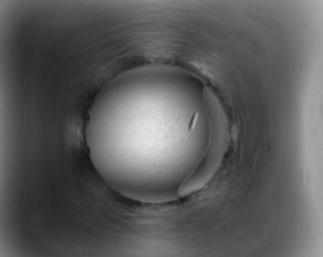 X0000088890963200706151827