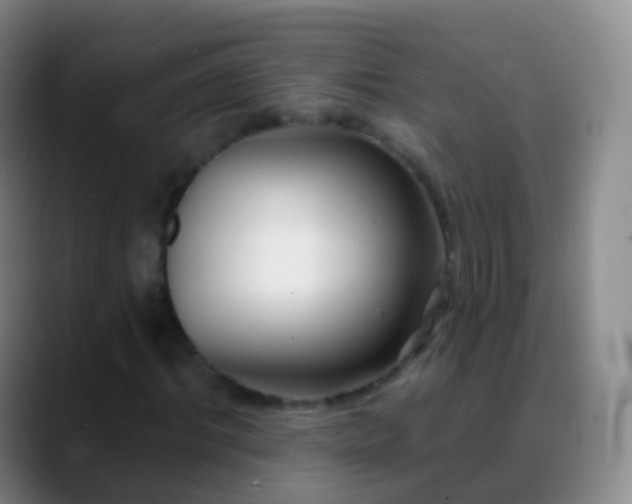 X0000088890964200706151827