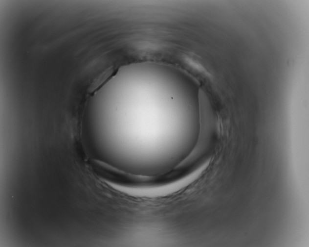 X0000088890965200706151827