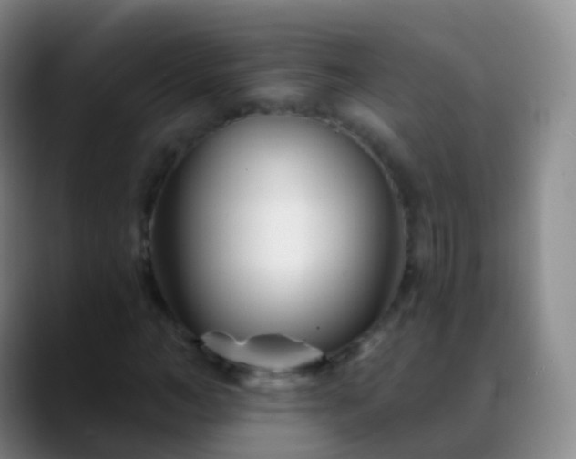 X0000088890966200706151827