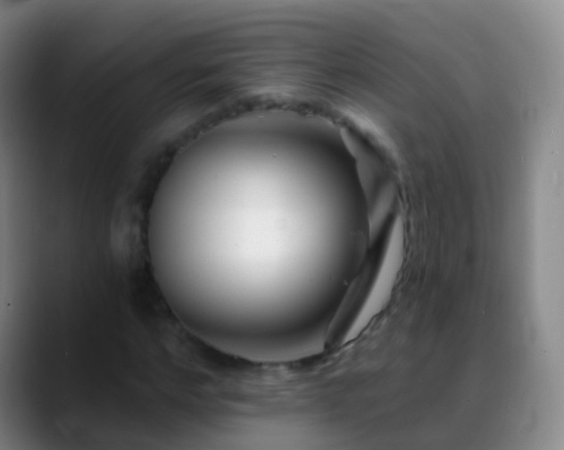 X0000088890968200706151827