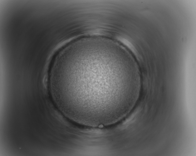 X0000088890971200706151826