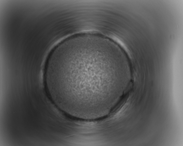 X0000088890975200706151826