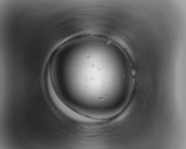 X0000088890981200706151826