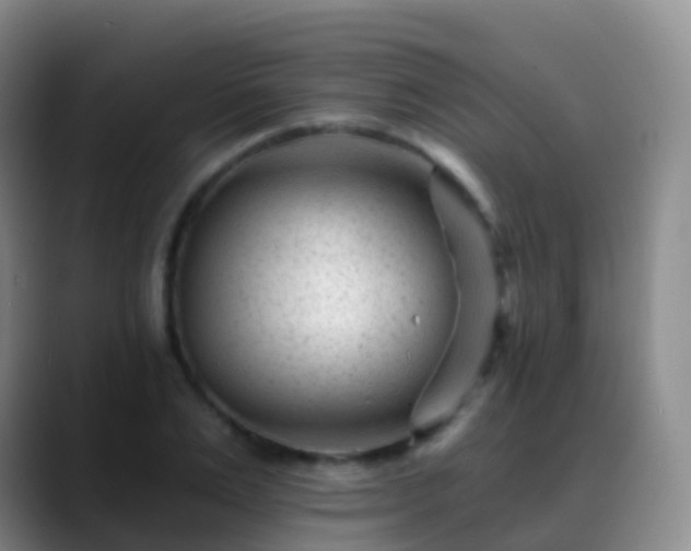 X0000088890983200706151826