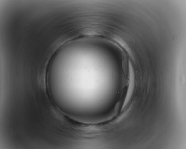 X0000088890986200706151826