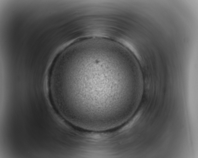 X0000088890987200706151826