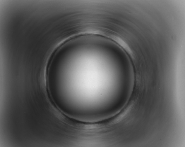 X0000088890988200706151826