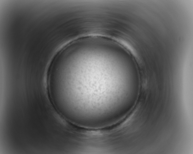 X0000088890990200706151826