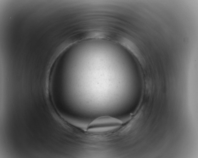 X0000088890994200706151826