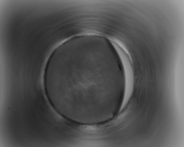 X0000088890995200706151826