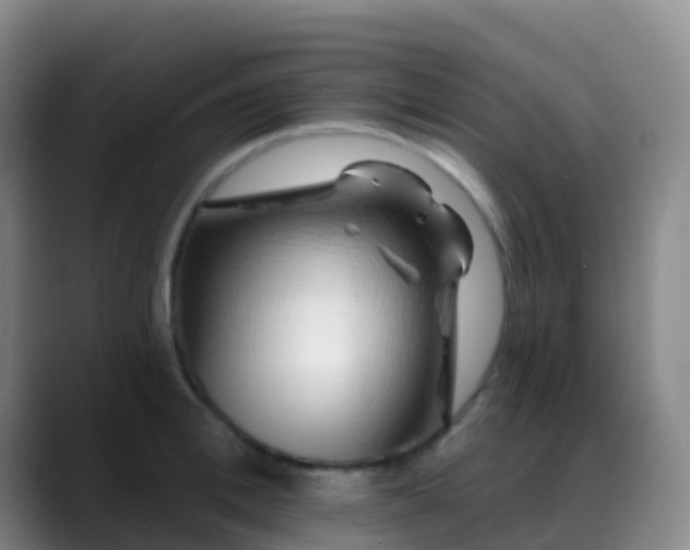 X0000088890996200706151826