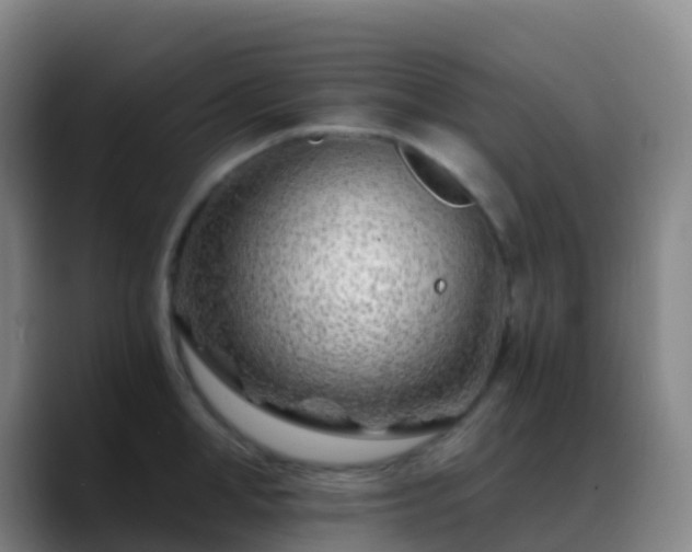 X0000088890998200706151826