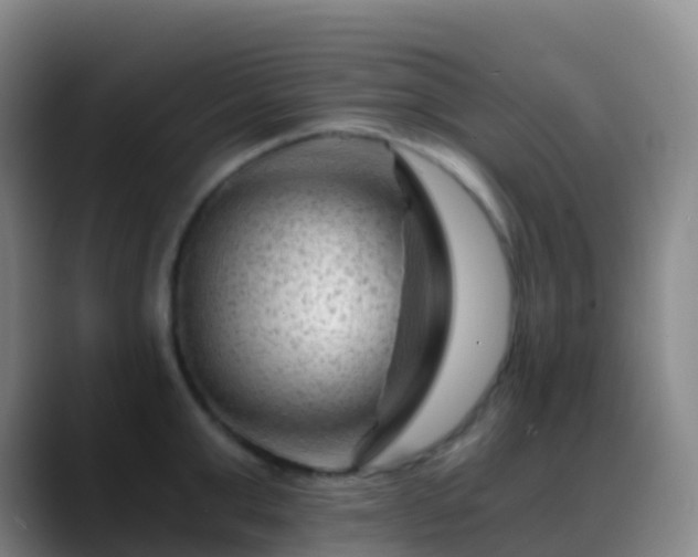 X0000088890999200706151826