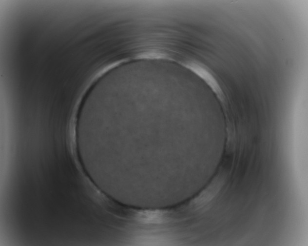 X0000088891000200706151826