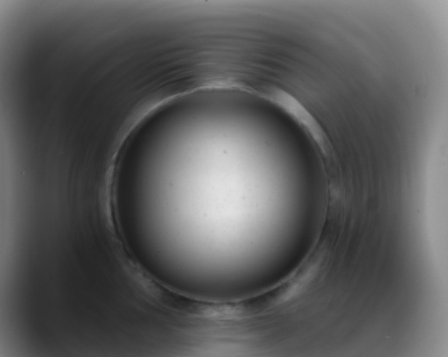 X0000088891002200706151826