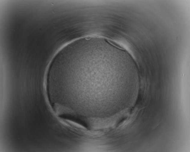 X0000088891007200706151826