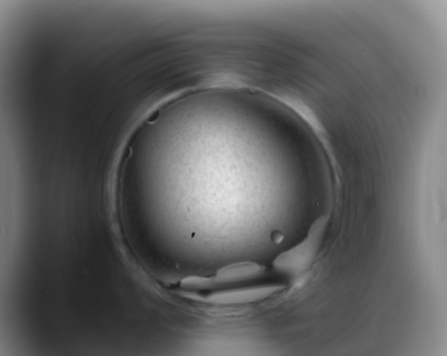 X0000088891008200706151826