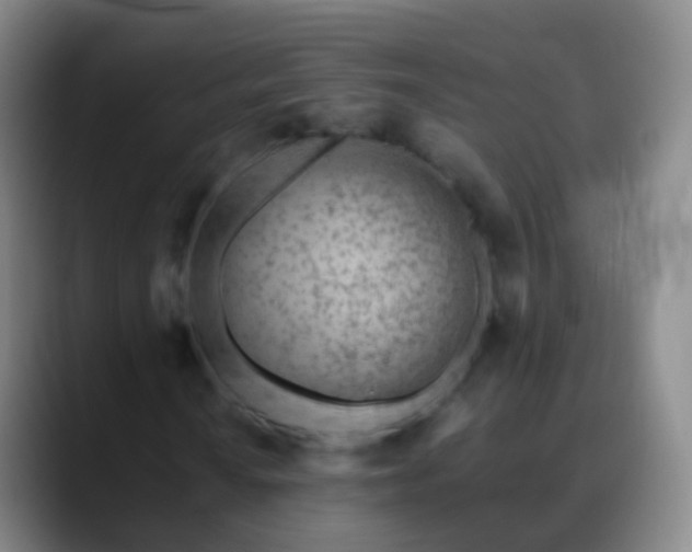 X0000088891010200706151826