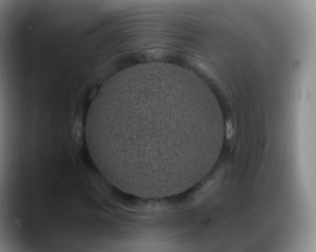 X0000088891011200706151826