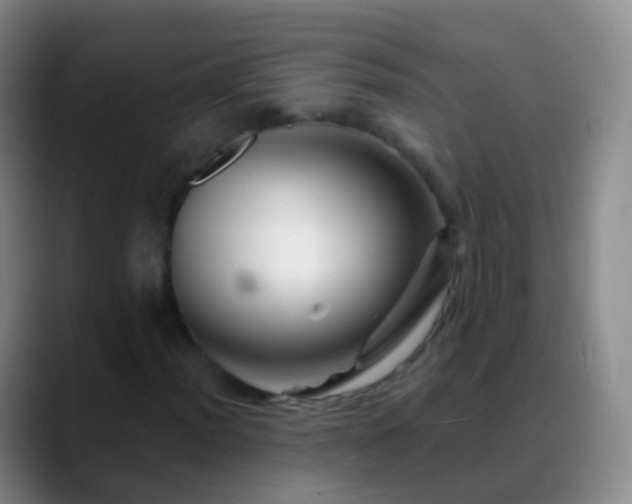 X0000088891012200706151826