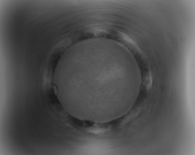 X0000088891014200706151826