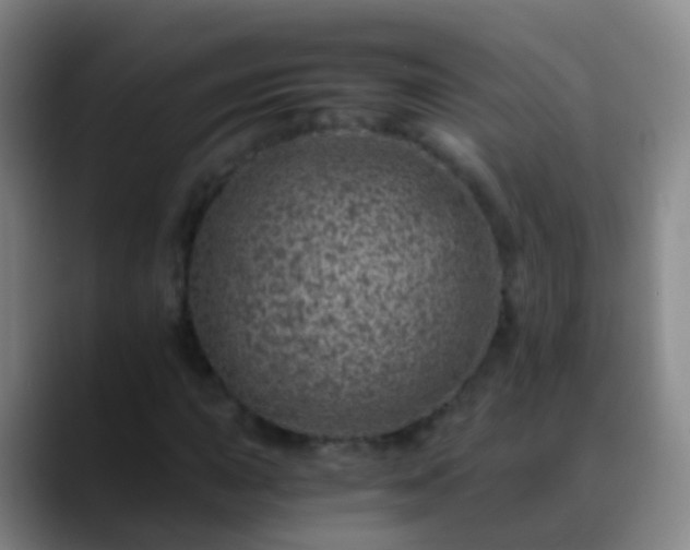 X0000088891015200706151826