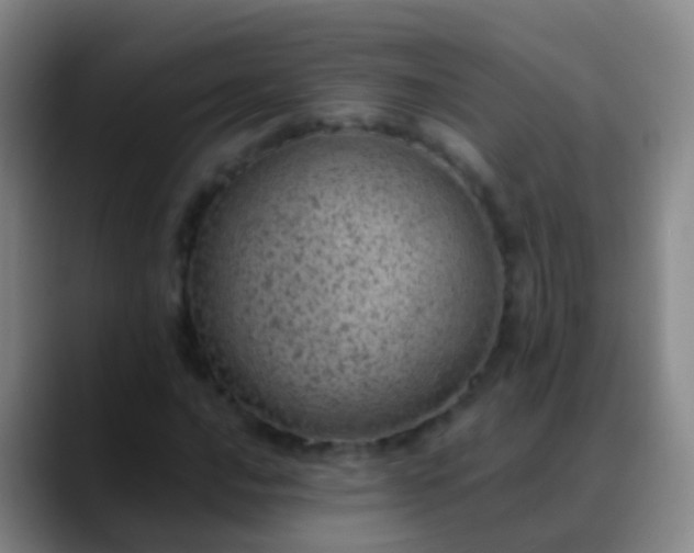 X0000088891016200706151826