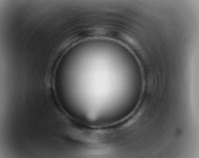 X0000088891017200706151826