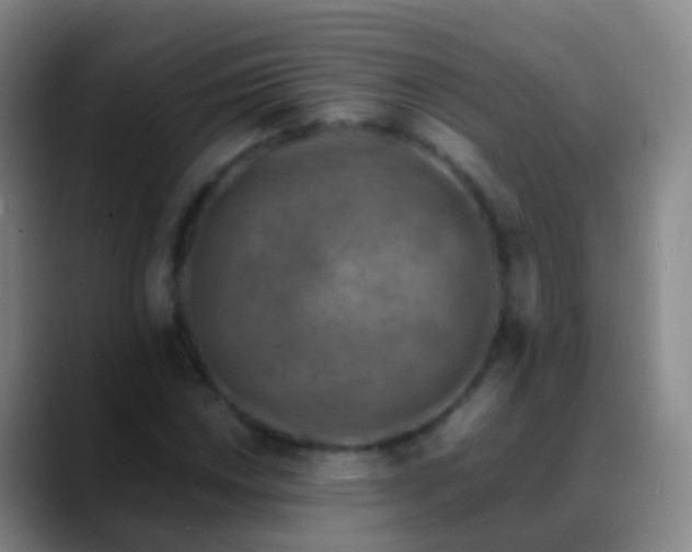 X0000088891018200706151826