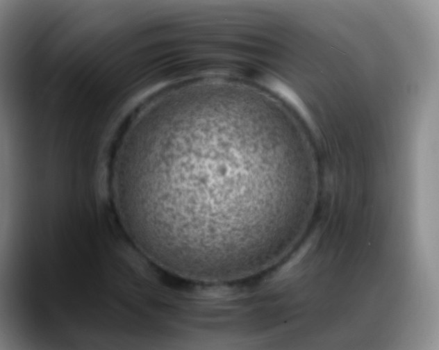 X0000088891019200706151826