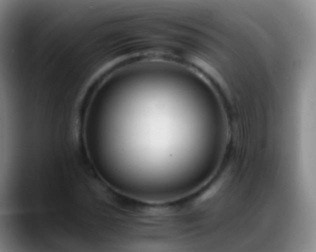 X0000088891021200706151826