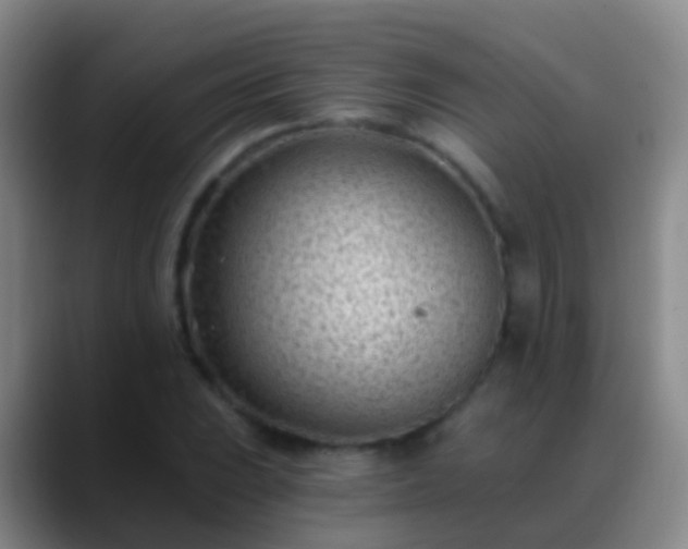 X0000088891023200706151826